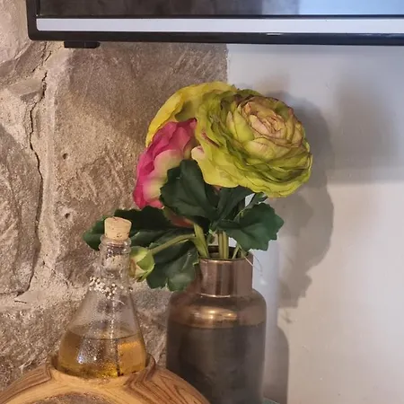 Appartement Heritage Trumbic Split